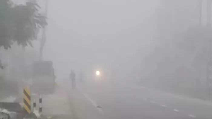 UP Weather Today: यूपी में बढ़ी ठंड, सड़कों पर छाया घना कोहरा