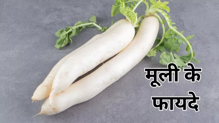 क्या आप जानते हैं सर्दियों में मूली खाने के फायदे-