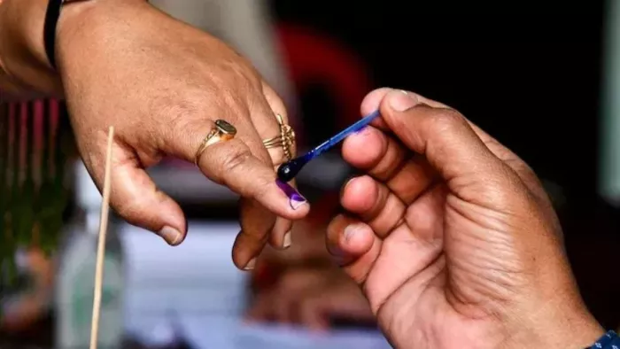 हरियाणा में दो चरणों में शहरी निकाय चुनाव होंगे। प्रतिकात्मक तस्वीर