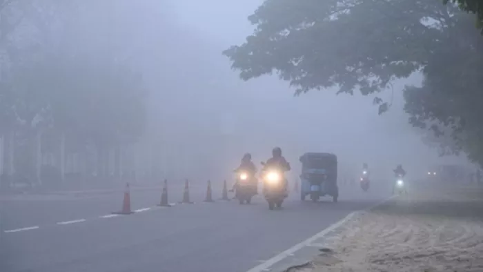 Haryana Weather: भीषण ठंड की चपेट में हिसार।