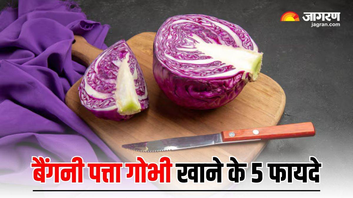 https://www.jagranimages.com/images/newimg/12122024/12_12_2024-purple_cabbage_health_benefits_23846797.jpg