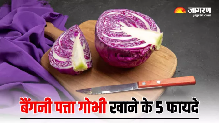 Purple Cabbage Health Benefits: क्या आप जानते हैं बैंगनी गोभी क्यों है इतनी खास? (Image Source: Freepik)