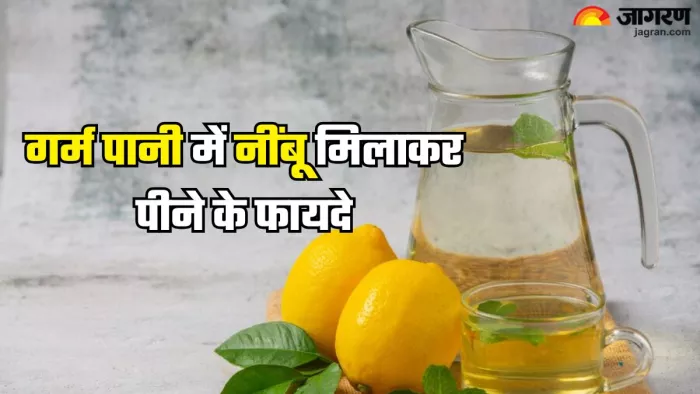 गर्म पानी में नींबू मिलाकर पीने के फायदे (Picture Credit- Freepik)
