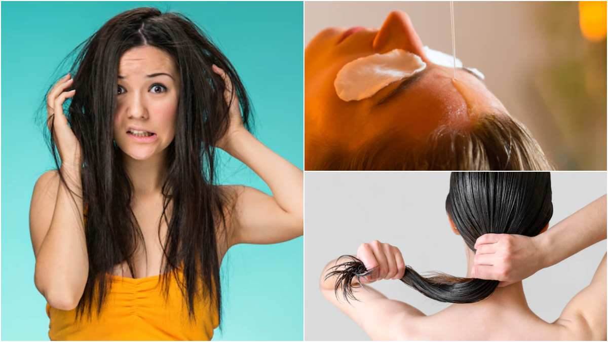 https://www.jagranimages.com/images/newimg/13012023/13_01_2023-hair-care-winters_23294344.jpg