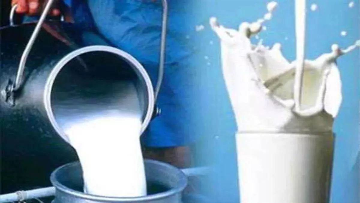 Bihar News: राजधानी पटना में दिनभर दौड़ती रही 'दही एक्सप्रेस', 31 लाख लीटर दूध व नौ लाख किलो दही बेचने की है तैयारी