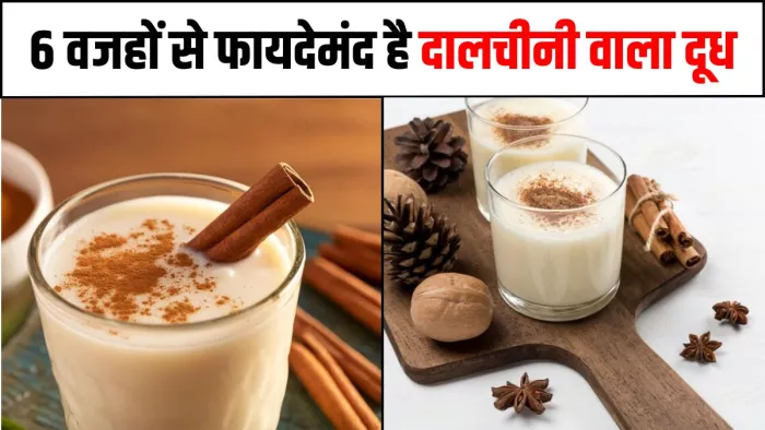 सोने से पहले रोजाना पिएंगे दालचीनी वाला दूध, तो सेहत को मिलेंगे 6 जबरदस्त फायदे (Image Source: Freepik)