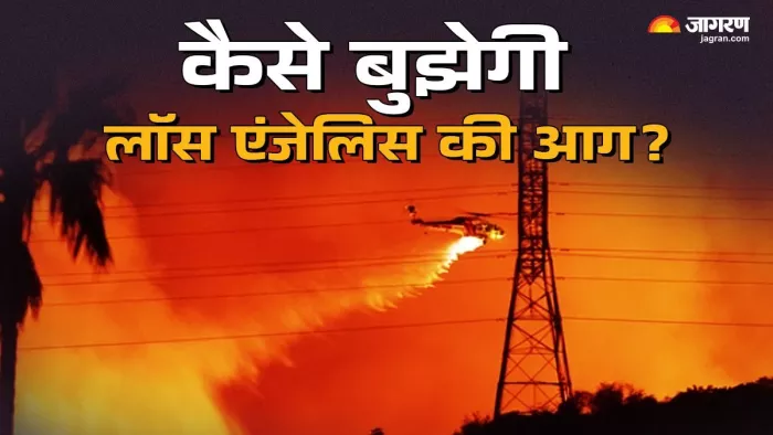 लॉस एंजेलिस में लगी आग से 20 से अधिक लोगों की जान गई। (फोटो, जागगण ग्राफिक्स)