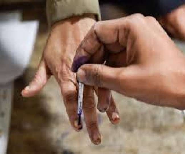 आंध्र प्रदेश में पंचायत चुनाव के दूसरे चरण के लिए मतदान जारी