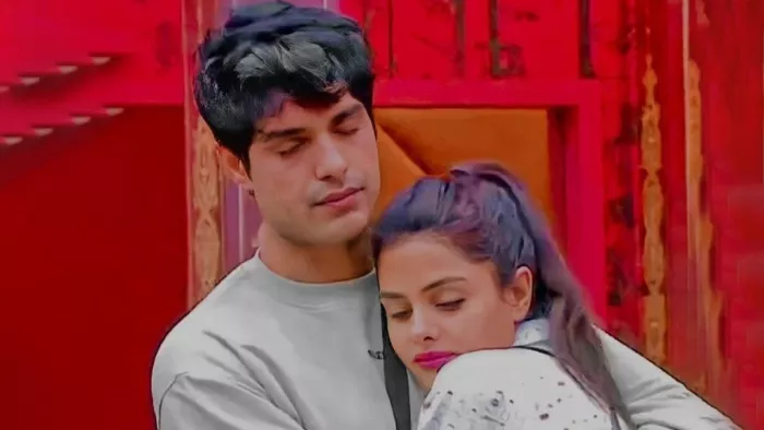 Ankit Gupta made fun of Mc Stan becoming the winner of Bigg Boss 16