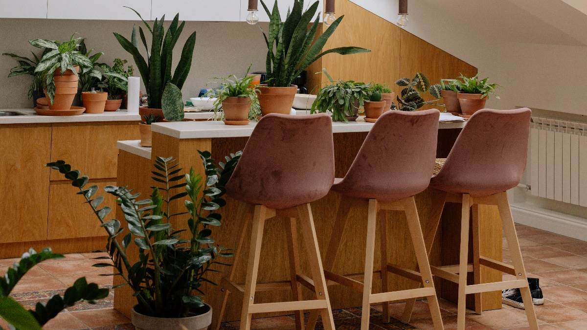 Best Bar Stools
