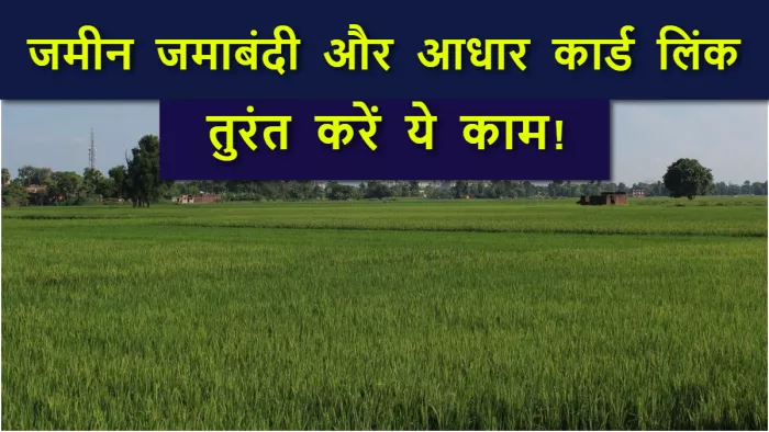 जमीन की जमाबंदी को तुरंत कराएं आधार कार्ड से लिंक, वरना हो सकता है बड़ा नुकसान