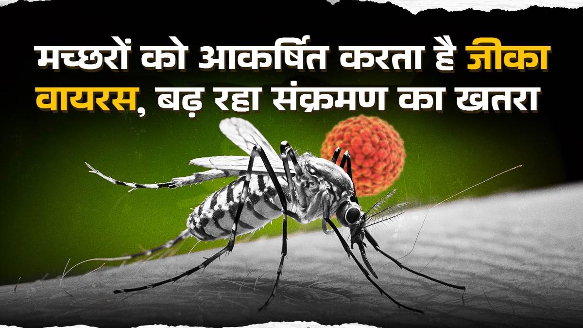 https://www.jagranimages.com/images/newimg/13022025/13_02_2025-mosquito-zika-virus_23883903.jpg