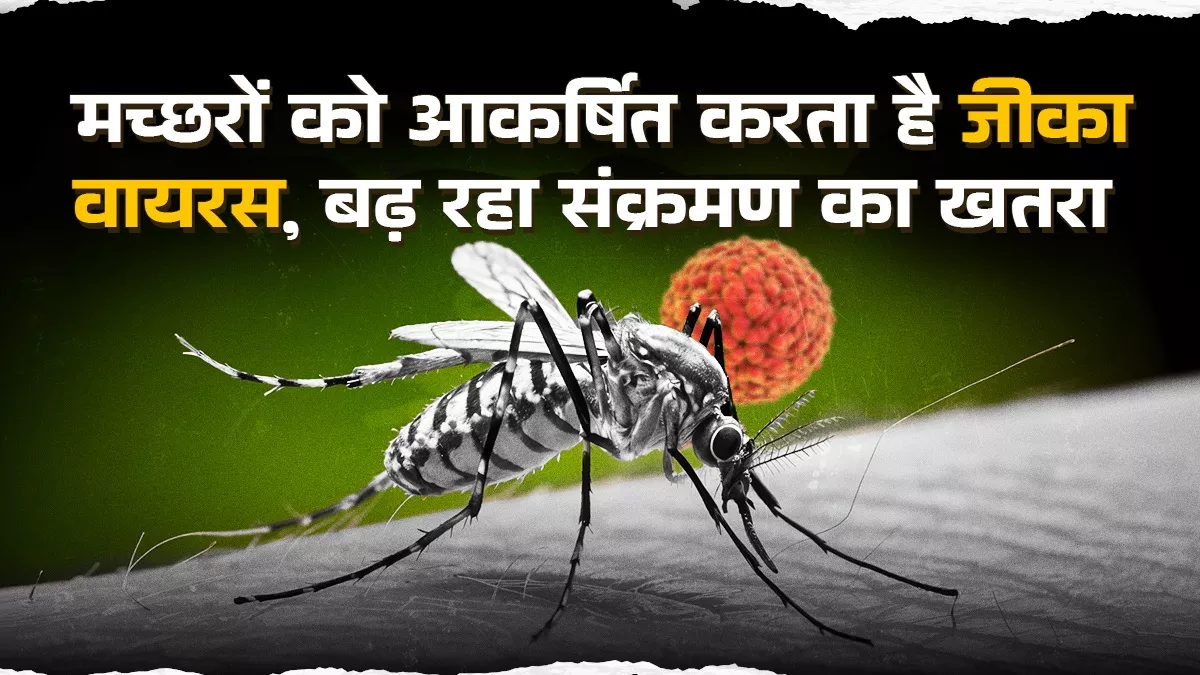 जलवायु परिवर्तन से मच्छरों का खतरा बढ़ा, आने वाले समय में जीका और डेंगू जैसी बीमारियों का खतरा बढ़ेगा