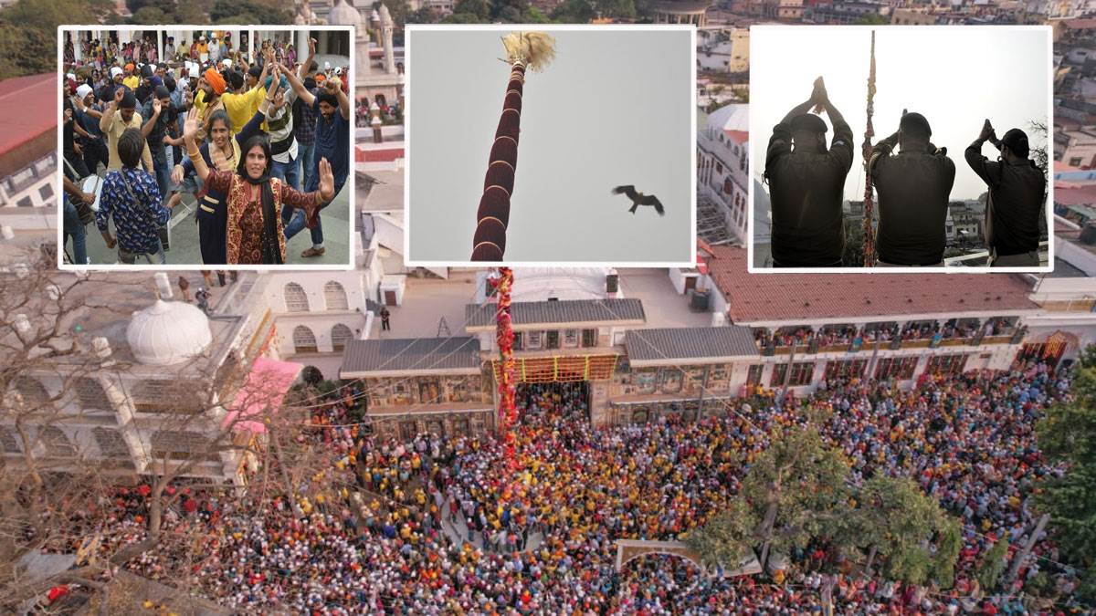 News Article Hero Image