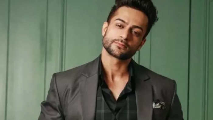 Bigg Boss Contestant Shalin Bhanot Gets Trolled on His Car Number Plate Broken Video Goes Viral/Instagram