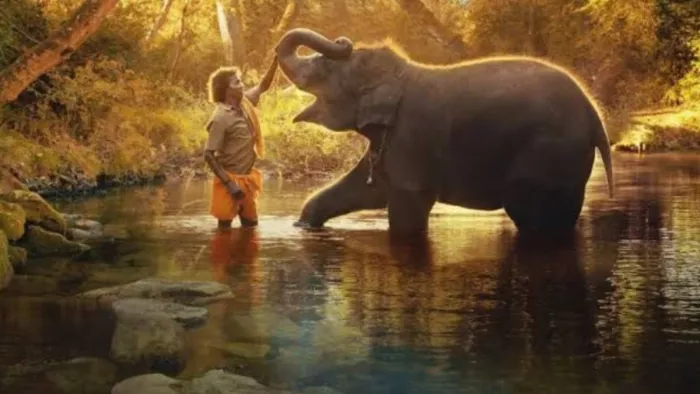 Oscar 2023 the Elephant Whisperers Win Best Documentary Award Amitabh Bachchan Praises the Crew/Instagram