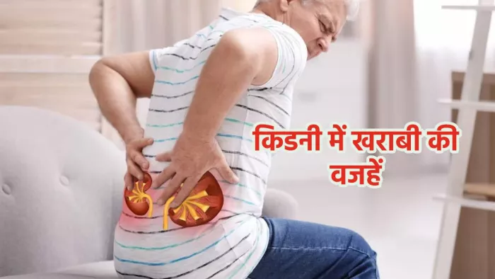 World Kidney Day: किडनी में खराबी की वजहें