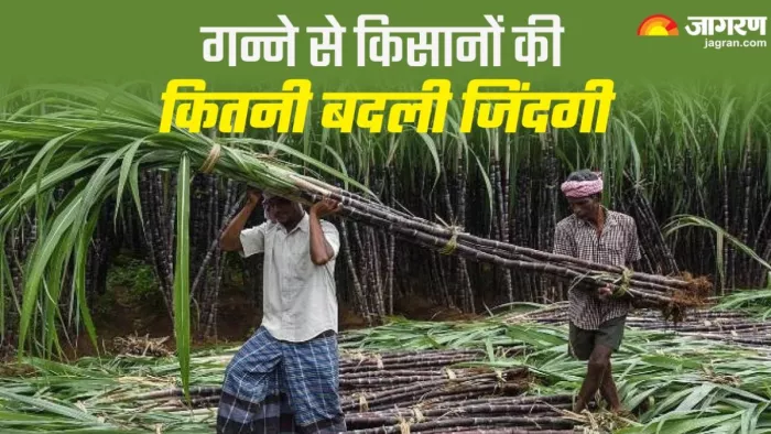 प्रदेश की तीन दर्जन से अधिक सीटों पर गन्ना किसानों का दखल माना जाता है।
