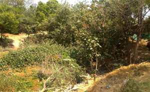 हुसैनपुर के तालाब को भी न मिल सकी संजीवनी