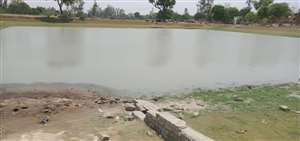 गांव में तमाम ऐसे भी लोग हैं जो पानी के संरक्षण को लेकर रात दिन प्रयास कर रहे हैं।