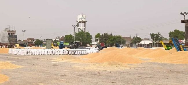 state warehouse punsup markfed ware house mangrain purchase agencies strike wheat purchase stalled in barnala