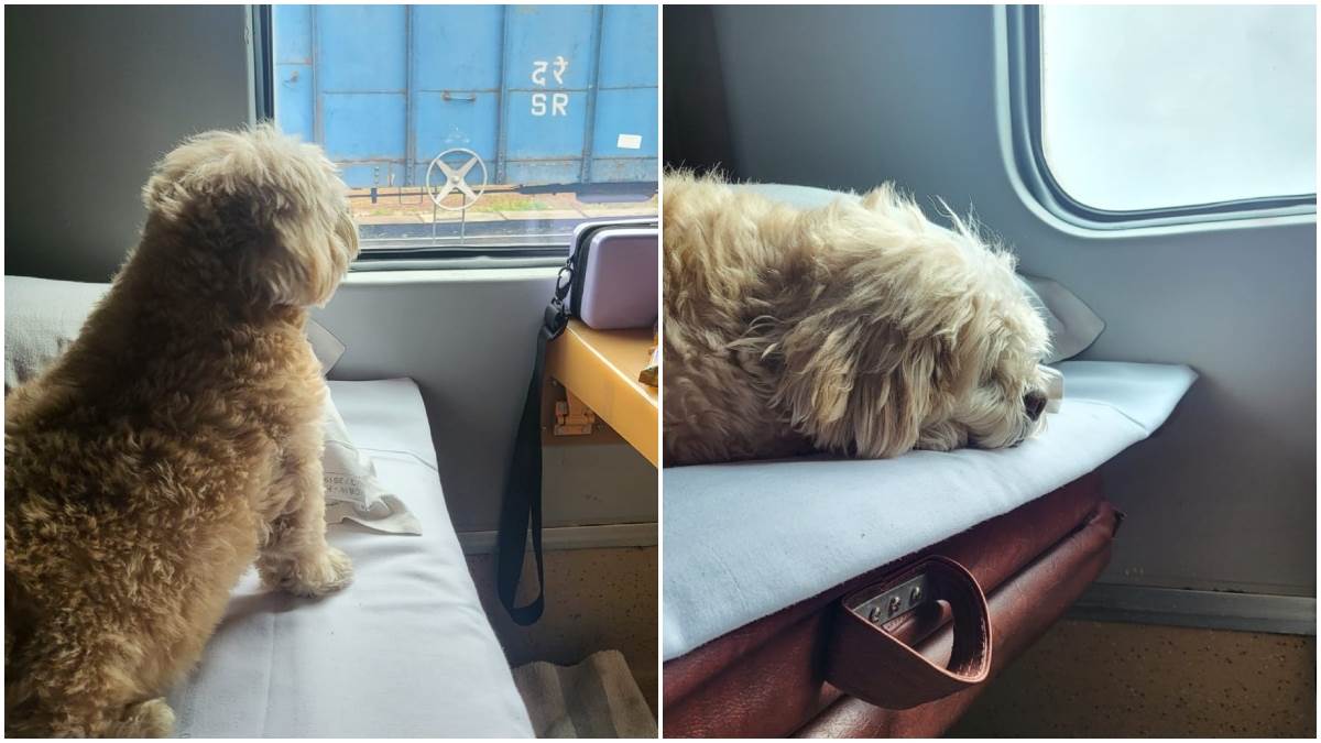 Travelling With Pets पेट्स के साथ ट्रेन में करने जा रहे हैं सफर, तो ये