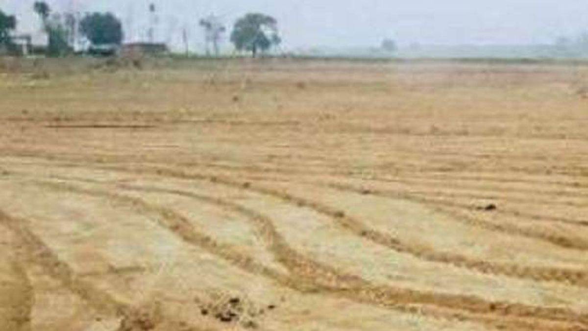 ncr greater noida game of twenty lakhs in land measurement action on nayab tehsildar role of sdm is also suspicious