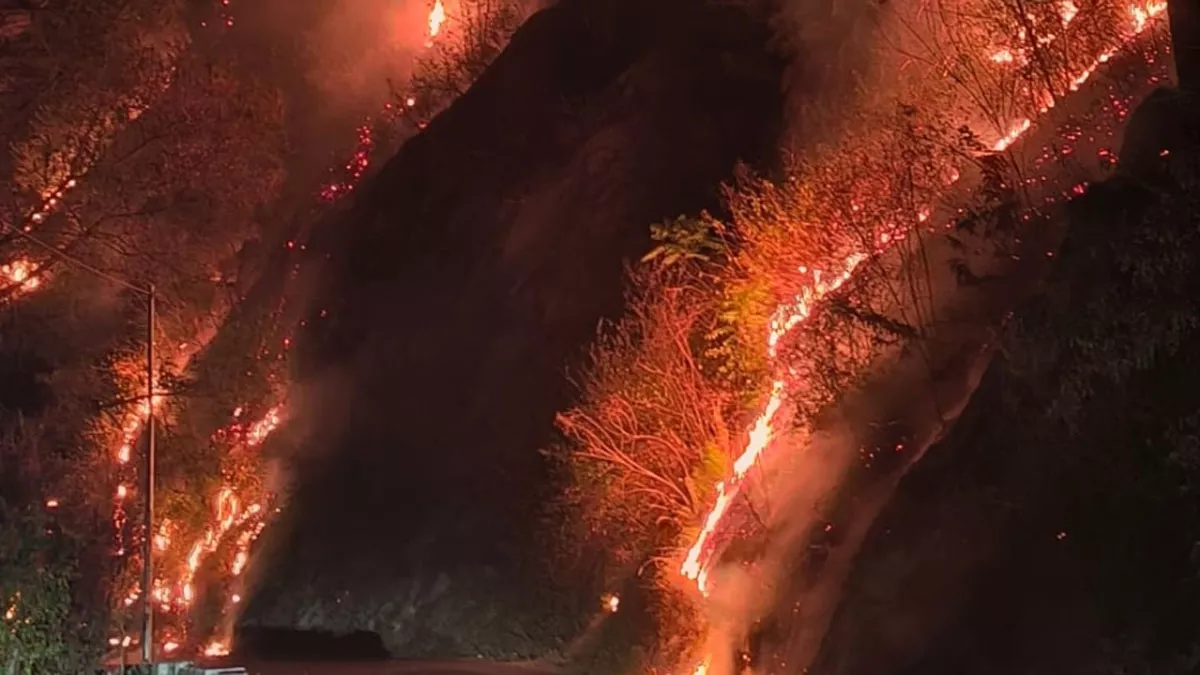 Forest Fire: नैनीताल में स्टेट हाईवे तक पहुंचीं जंगल की आग की लपटें, हड़कंप; बढ़ रहा मैदानों का पारा