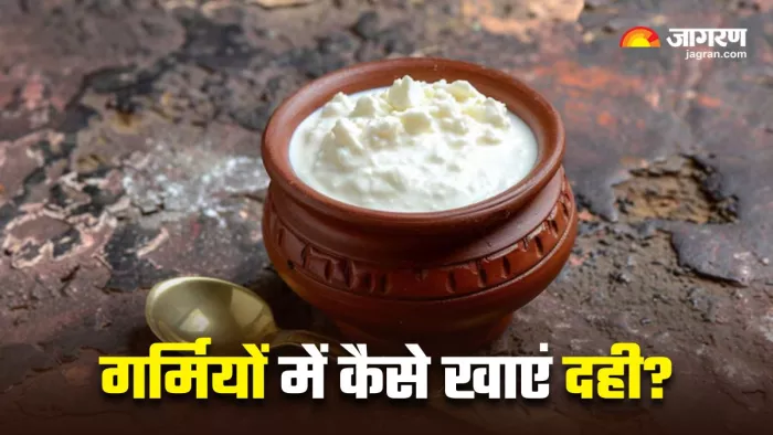 गर्मियों में किस तरह दही खाने से सेहत को मिलेगा ज्यादा फायदा? (Image Source: Freepik)