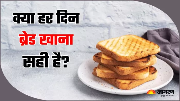 नाश्ते में रोजाना खा रहे हैं ब्रेड, तो संभल जाएं; नुकसान कर देंगे हैरान (Image Source: Freepik)