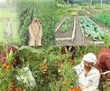 रिपोर्ट में सस्टेनेबल एग्रीकल्चर की स्थिति बताने के साथ ही इसे बेहतर बनाने के लिए सुझाव भी दिए गए हैं।