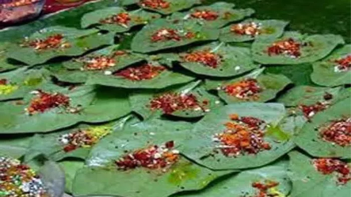 मगध की शान है “मगही पान”, जागरण आर्काइव