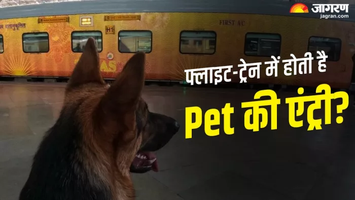Pet Travel Rules: फ्लाइट और ट्रेन में पालतू जानवरों को ले जाने के क्या हैं नियम