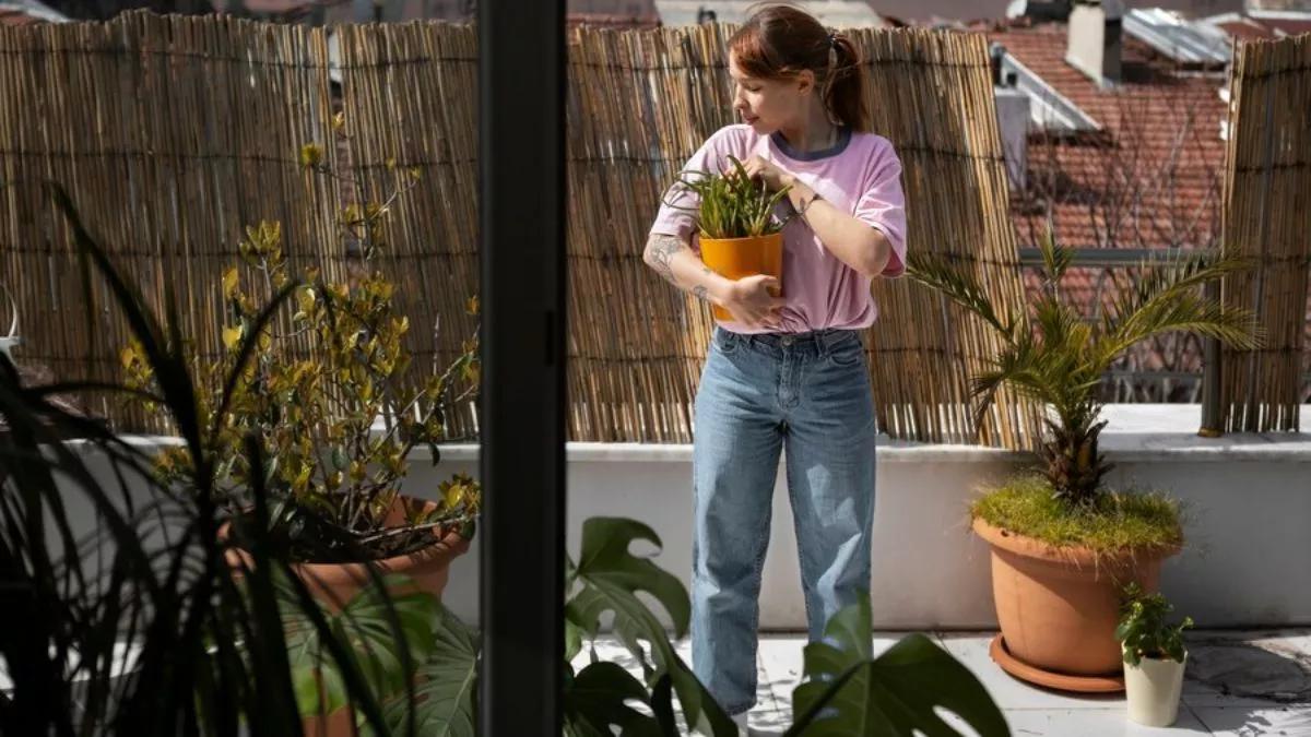 Plant Care Tips: नहीं चाहते हीटवेव से झुलस जाएं आपके पौधे, तो उनकी सुरक्षा के लिए अपनाएं ये 7 जरूरी उपाय