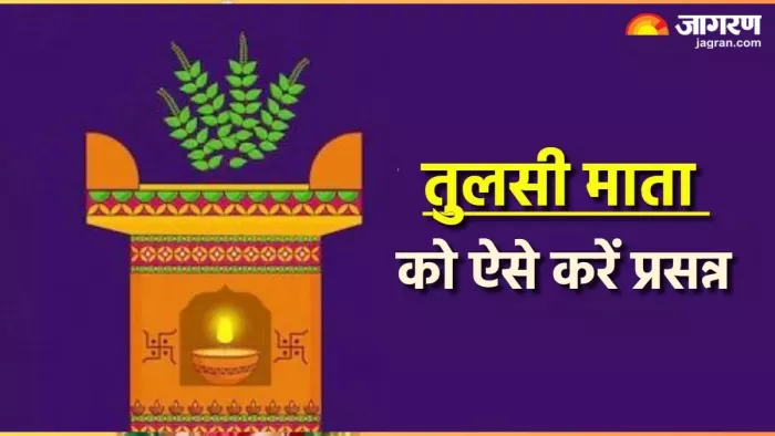 Tulsi Ke Upay: तुलसी के इन उपाय से खुल जाएंगे किस्मत के बंद ताले, सभी मनोकामनाएं होंगी पूरी