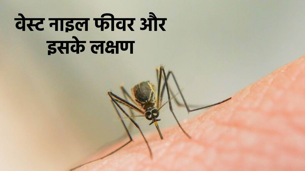 https://www.jagranimages.com/images/newimg/13052024/13_05_2024-west_nile_fever_and_symptoms_23716857.jpg
