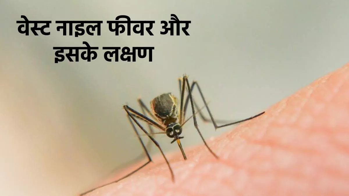 केरल में तेजी से फैल रहा West Nile Virus, डेंगू से मिलते-जुलते हैं इसके लक्षण, बचाव के लिए अपनाएं ये उपाय