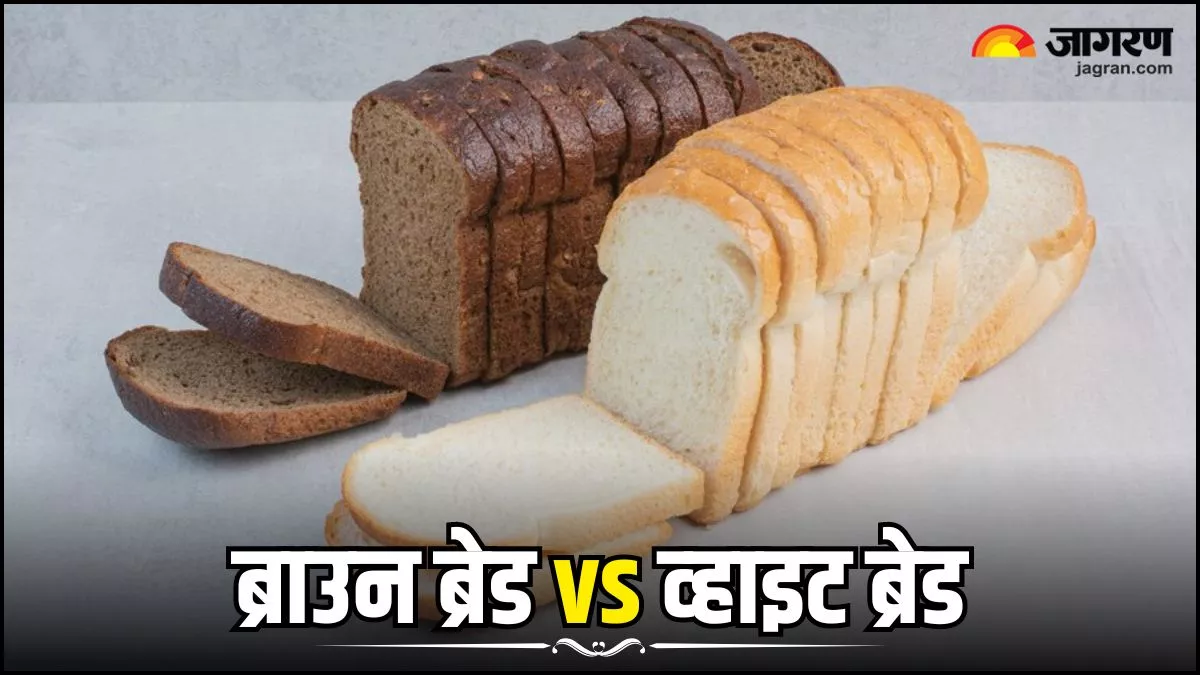 Brown Bread vs White Bread: ब्राउन ब्रेड खाएं या व्हाइट, दोनों में से क्या है ज्यादा हेल्दी?