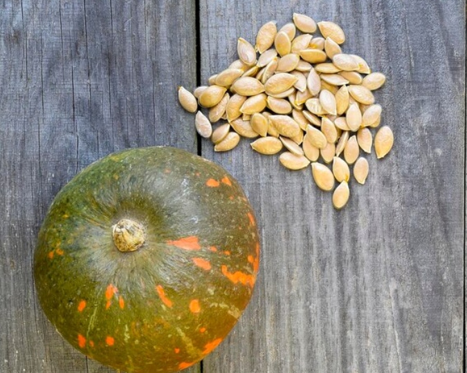 Summer Season में खाएंगे ये Seeds तो शरीर को मिलेगी ठंडक, गर्मियों में ...
