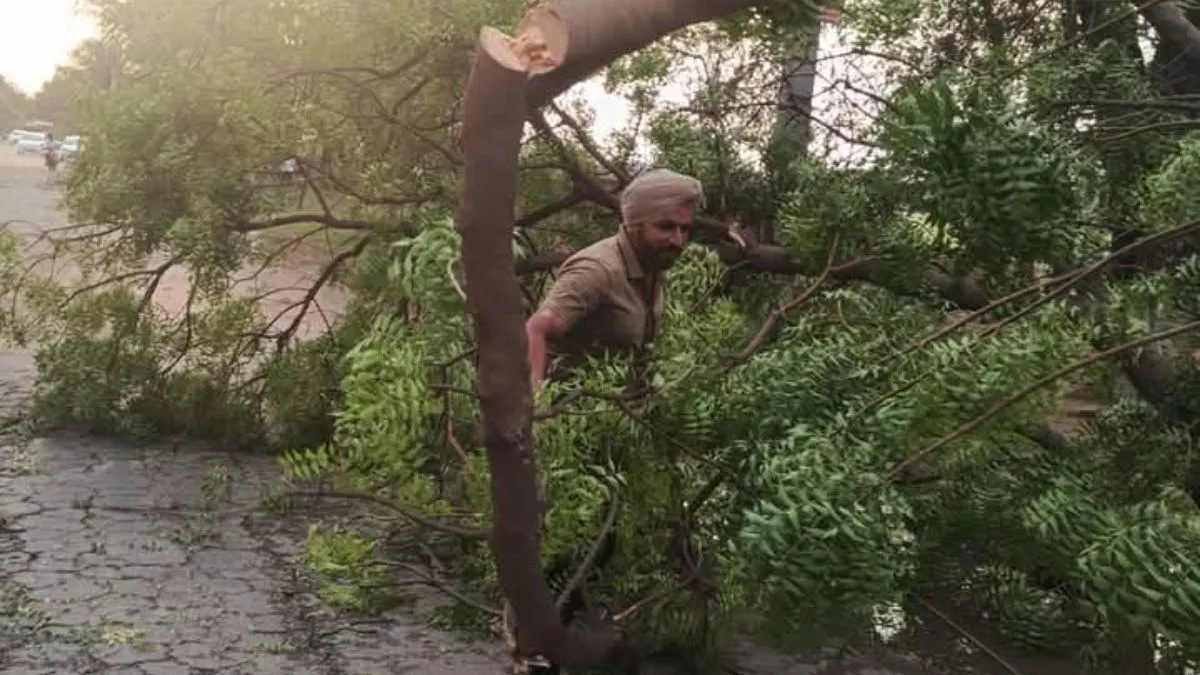 पंजाब के मानसा में तूफान के कारण पोल और पेड़ गिरने से बिजली आपूर्ति ठप, देर शाम तक होगी बहाल