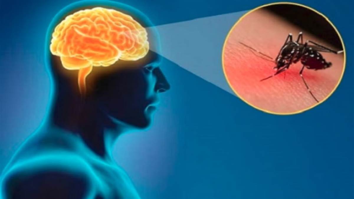 https://www.jagranimages.com/images/newimg/13052025/13_05_2025-japanese_encephalitis_23937258.jpg