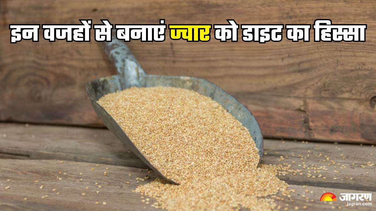 https://www.jagranimages.com/images/newimg/13052025/13_05_2025-jowar_benefits_23936931.jpg