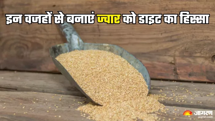 ज्वार खाने के फायदे अनेक (Picture Credit- Freepik)