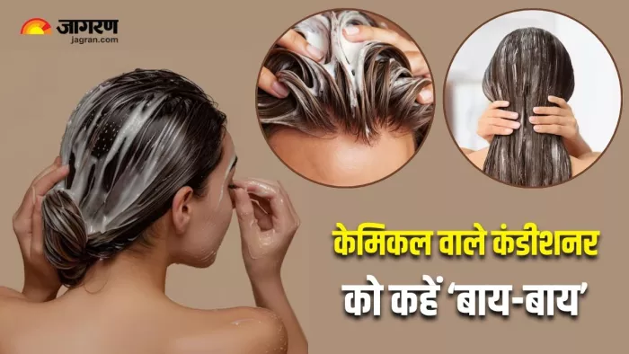 3 चीजों से घर पर बनाएं नेचुरल Hair Conditioner (Image Source: Freepik)