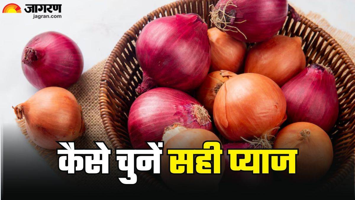 https://www.jagranimages.com/images/newimg/13052025/13_05_2025-onion_benefits_1_23936793.jpg