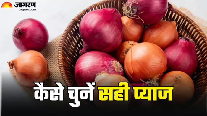 एक नहीं कई तरह की होती हैं प्याज (Picture Credit- Freepik)