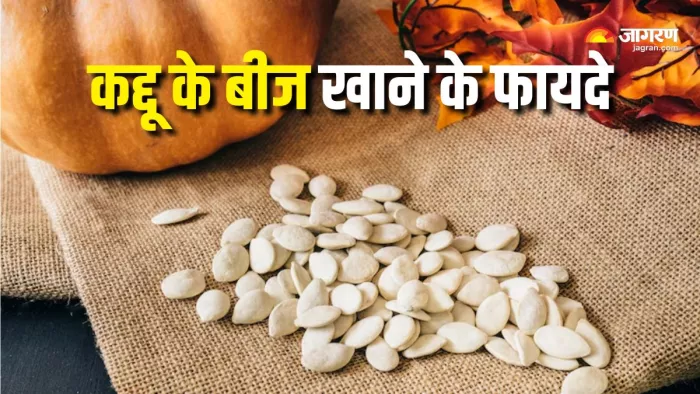 Pumpkin Seeds Benefits: कद्दू के बीजों में छिपा है सेहत का खजाना! (Picture Courtesy: Freepik)