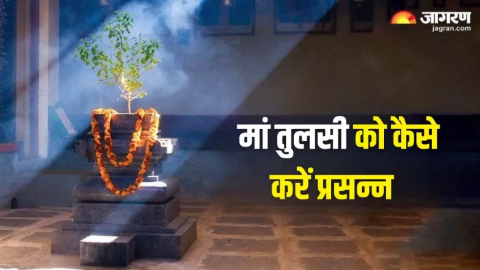 तुलसी चालीसा के पाठ से मिलते हैं कई आध्यात्मिक लाभ
