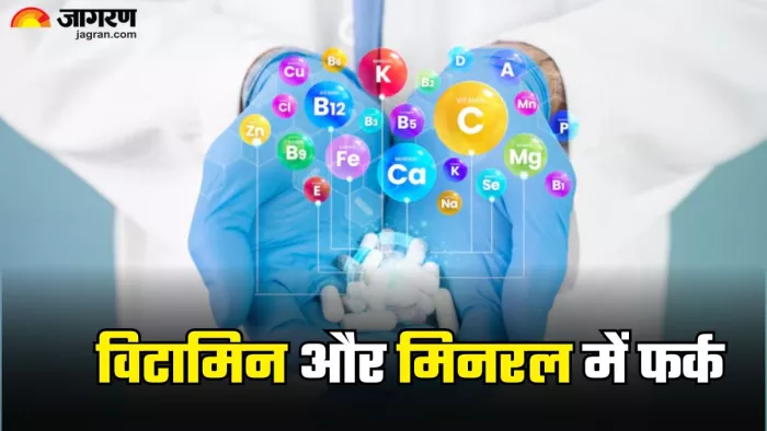 क्या आपको पता विटामिन और मिनरल के अंतर (Picture Credit- Freepik)