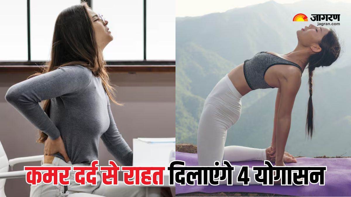 if you have back pain due to working for hours at the desk then these 4 yogasanas will give you relief